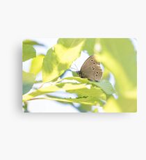 Ringlet Metal Print