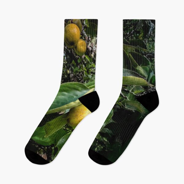 Item preview, Comes the Harvest designed and sold by Steve Walser.