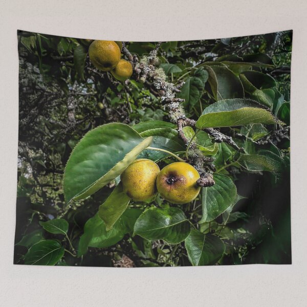 Item preview, Comes the Harvest designed and sold by Steve Walser.