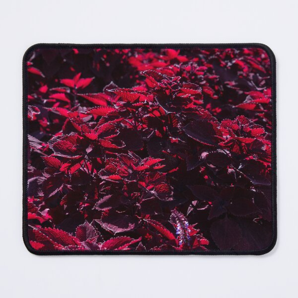 Item preview, Bloomcore in Rich Crimson and Burgundy Reds designed and sold by Georgia Mizuleva.