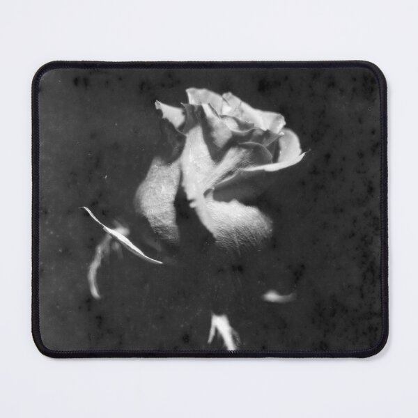 Item preview, Vintage photography of rose on film 35mm bnw designed and sold by fotopan.