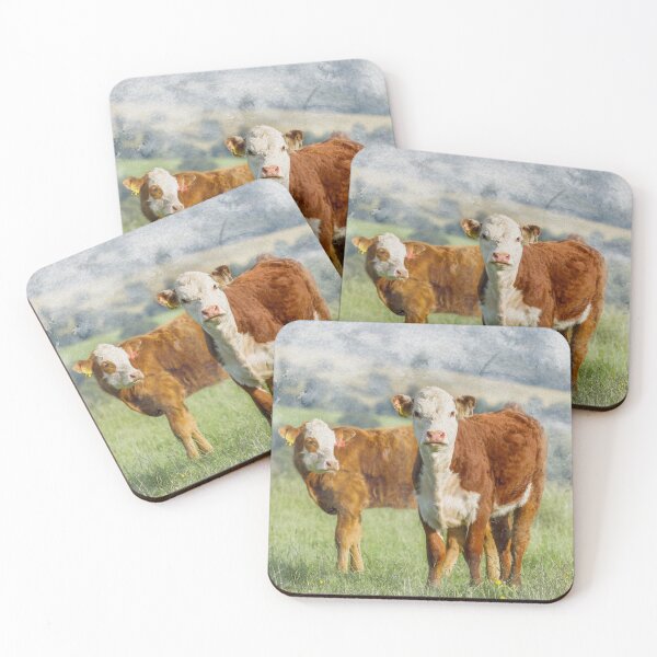 Item preview, Hereford Calves Watercolour Photograph designed and sold by Jane Stanley Photography.