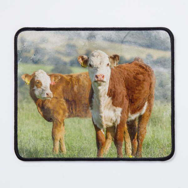 Item preview, Hereford Calves Watercolour Photograph designed and sold by Jane Stanley Photography.