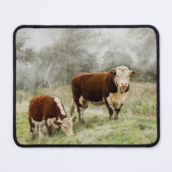 Item preview, Hereford Bull and Cow Watercolour Photograph designed and sold by Jane Stanley Photography.