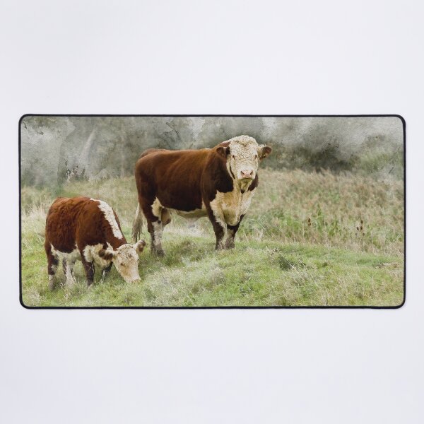 Item preview, Hereford Bull and Cow Watercolour Photograph designed and sold by Jane Stanley Photography.