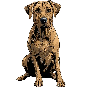 Aperçu de l'œuvre Chien Rhodesian Ridgeback de whyitsme