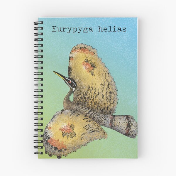 Item preview, Eurypyga helias - Sunbittern designed and sold by marivin.
