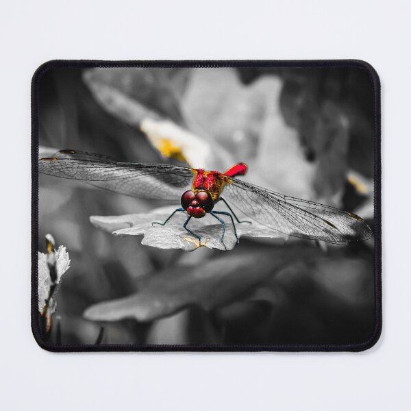 Item preview, Ruddy Darter Dragonfly designed and sold by Gary Osborne.