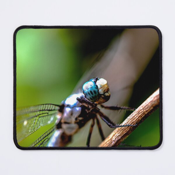 Item preview, Big Blue 1 designed and sold by HedgecockPix.