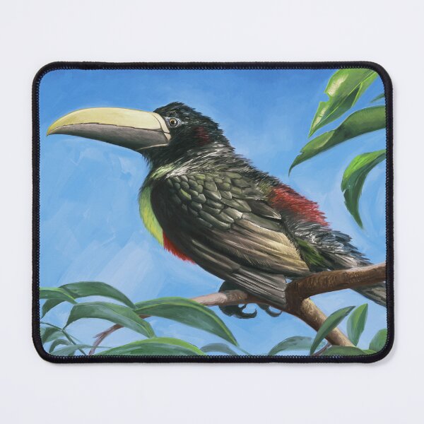 Item preview, Pteroglossus aracari - black-necked aracari designed and sold by marivin.