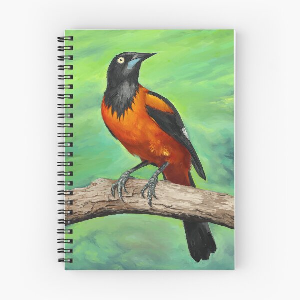 Item preview, icterus jamacaii - Campo troupial designed and sold by marivin.