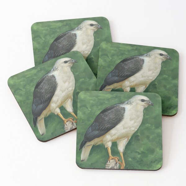 Item preview, Amadonastur lacernulatus - White-necked Hawk designed and sold by marivin.