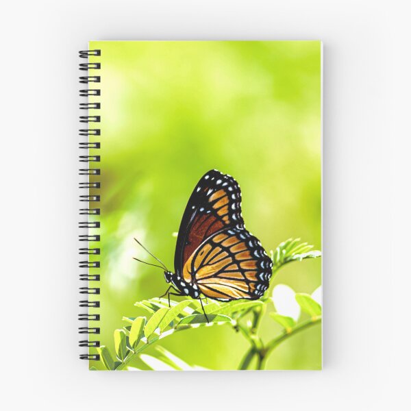 Item preview, Textbook Example designed and sold by HedgecockPix.