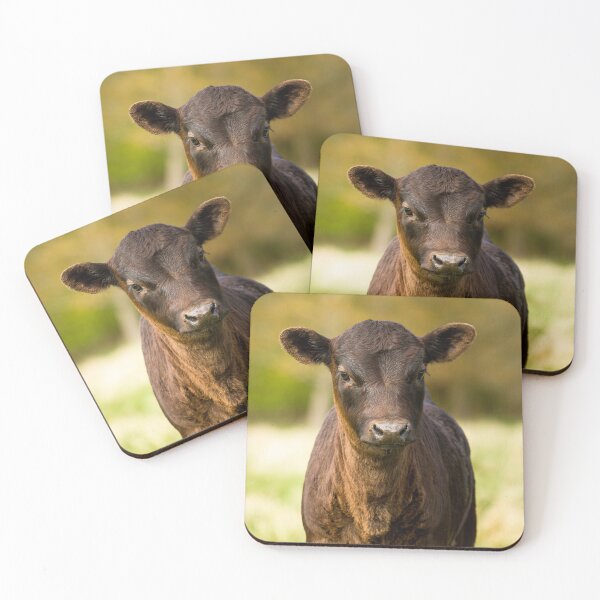 Item preview, Dexter Calf designed and sold by Jane Stanley Photography.