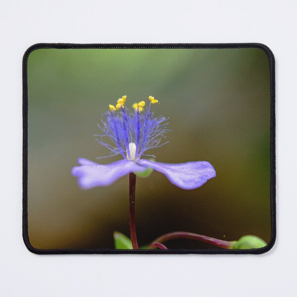 Item preview, Calm Glow designed and sold by HedgecockPix.