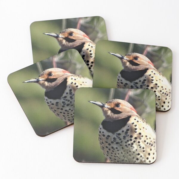 Item preview, Portrait of a Northern Flicker designed and sold by WonderingNature.