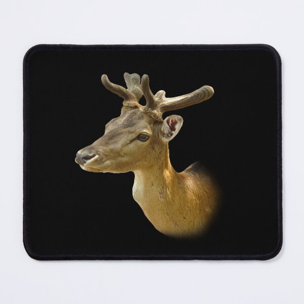 Item preview, Fallow Deer designed and sold by Guardi71.