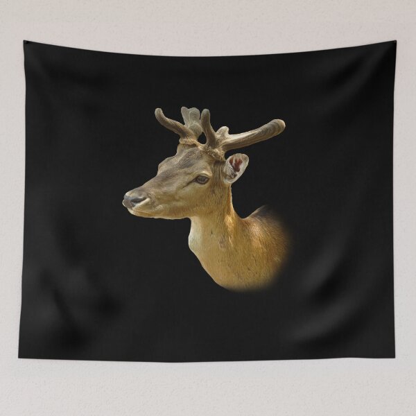 Item preview, Fallow Deer designed and sold by Guardi71.