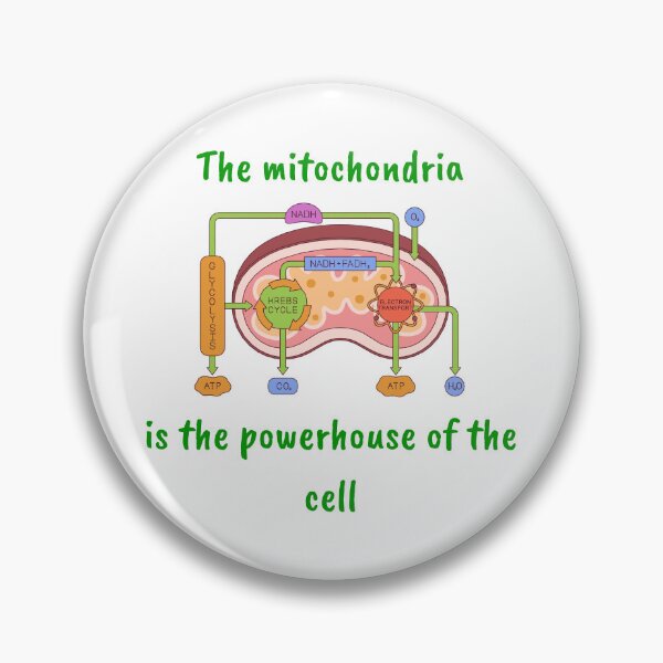 Item preview, Mitochondria  designed and sold by Peachy-Draws.