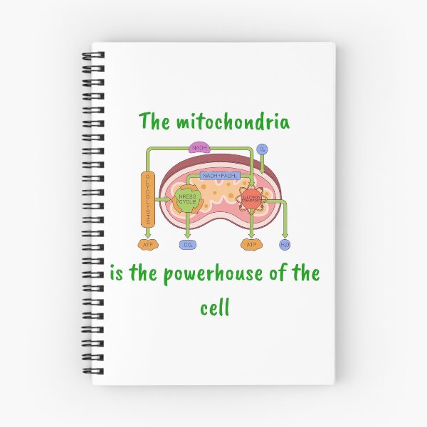 Item preview, Mitochondria  designed and sold by Peachy-Draws.