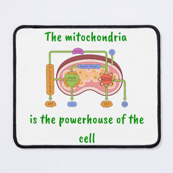Item preview, Mitochondria designed and sold by Peachy-Draws.