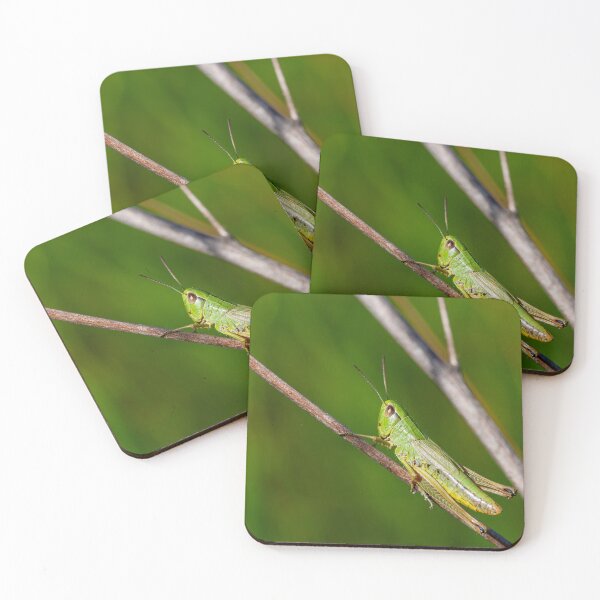 Item preview, Vibrant Green Grasshopper Macro on Twig. Nature's Detail designed and sold by 3 Hours of Silence.
