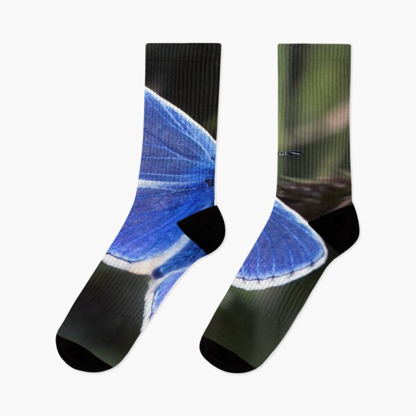 Item preview, common blue butterfly  designed and sold by Tom McPherson Photography.