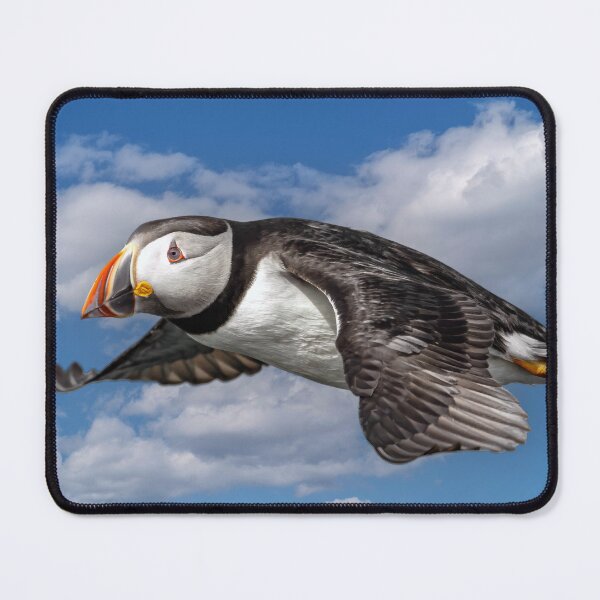 Item preview, Puffin in Flight designed and sold by Tom McPherson Photography.