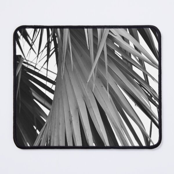 Item preview, Palm Silhouette - Black and White designed and sold by Fer van der Linde.