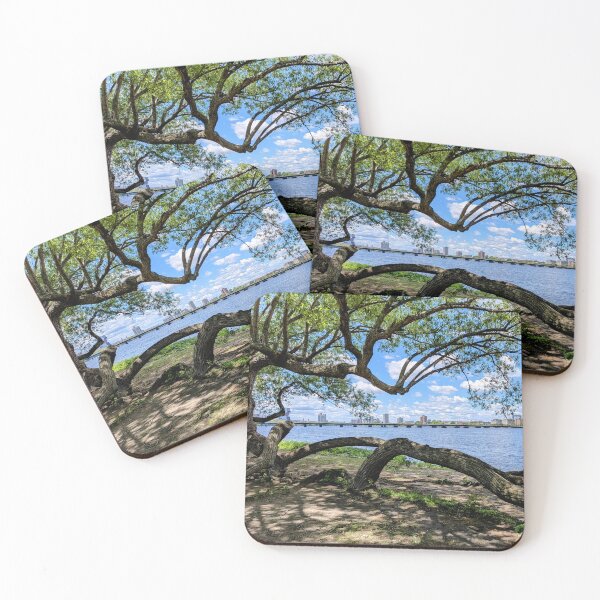 Item preview, Boston Esplanade Tree designed and sold by Ginger-Elle.