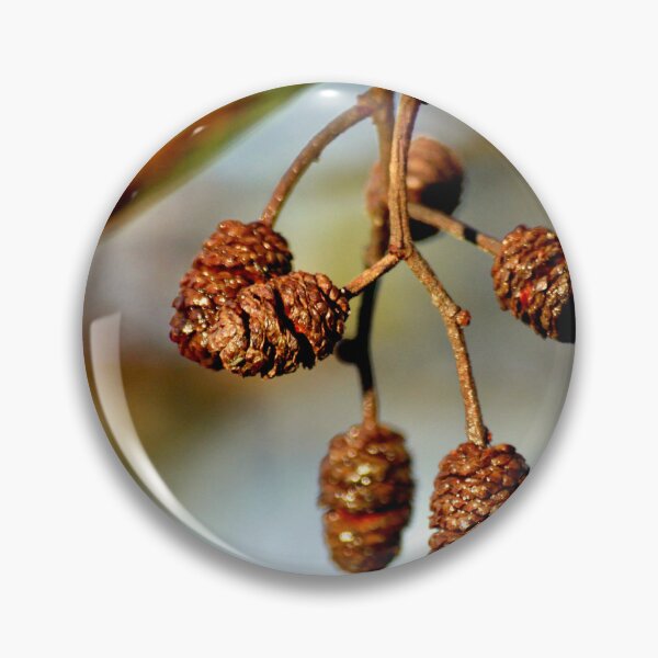 Item preview, Pinecones on a branch designed and sold by wesneves.