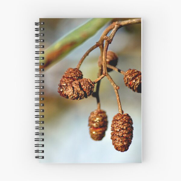Artikelvorschau, Pinecones on a branch entworfen und verkauft von wesneves.