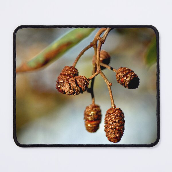 Item preview, Pinecones on a branch designed and sold by wesneves.