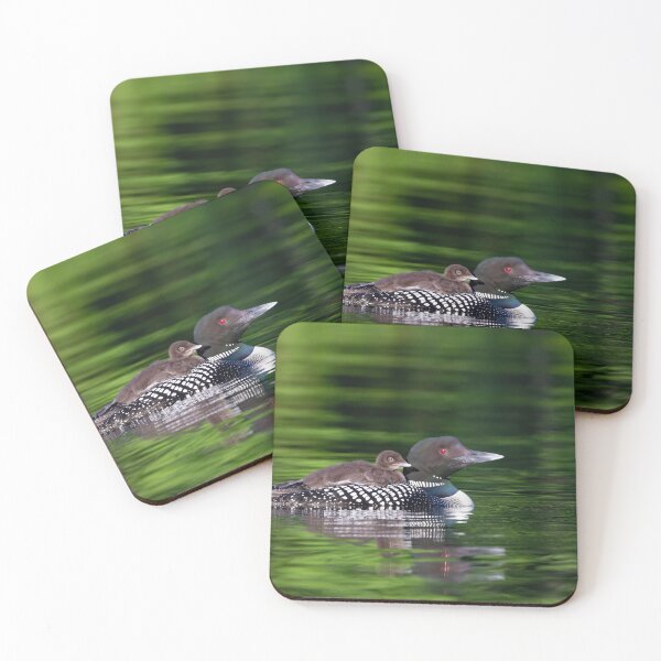Item preview, Common loon swimming with chick on her back designed and sold by James Cumming.