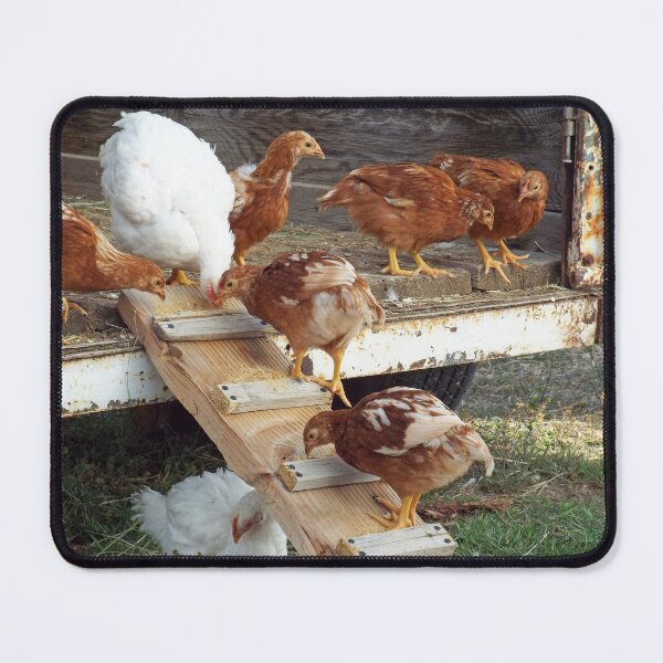 Item preview, Chickens designed and sold by Brenda's Images.