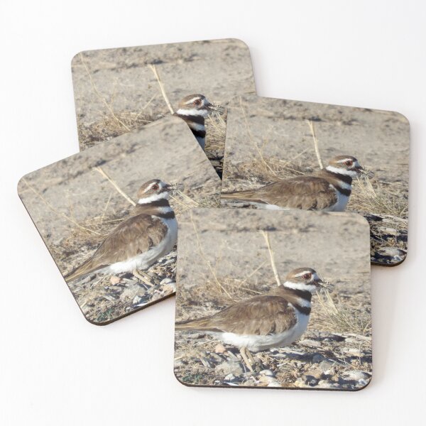 Item preview, Killdeer designed and sold by Brenda's Images.