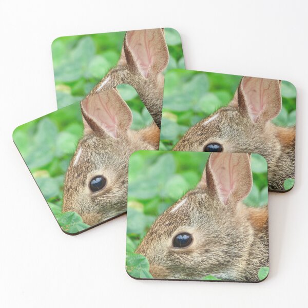 Item preview, Eastern Cottontail designed and sold by Naturally Still Photography.