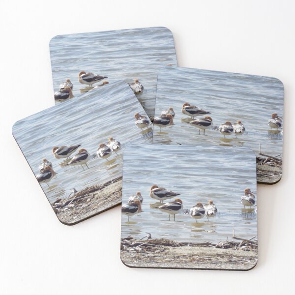 Item preview, American Avocets designed and sold by Brenda's Images.