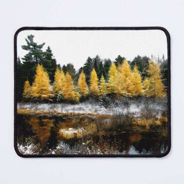 Item preview, Snow Paints Larch Grove designed and sold by Wayne King.