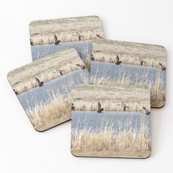 Item preview, Canadian Geese Flying designed and sold by Brenda's Images.