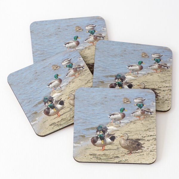 Item preview, Mallard Ducks designed and sold by Brenda's Images.