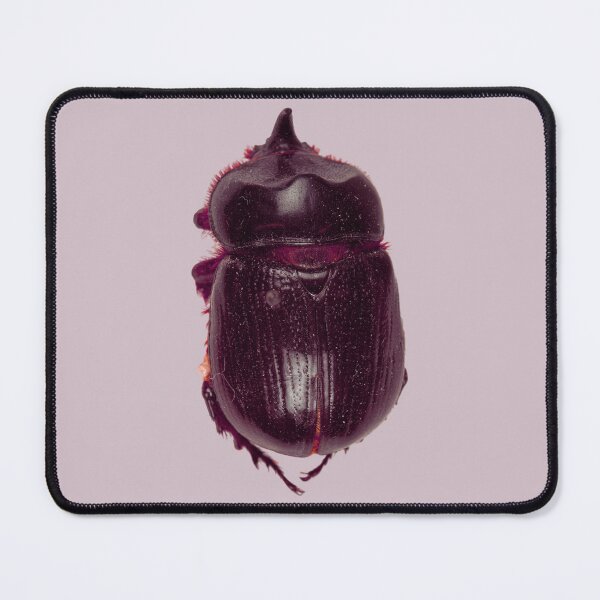 Item preview, Unicorn Beetle designed and sold by Studio Sonder.