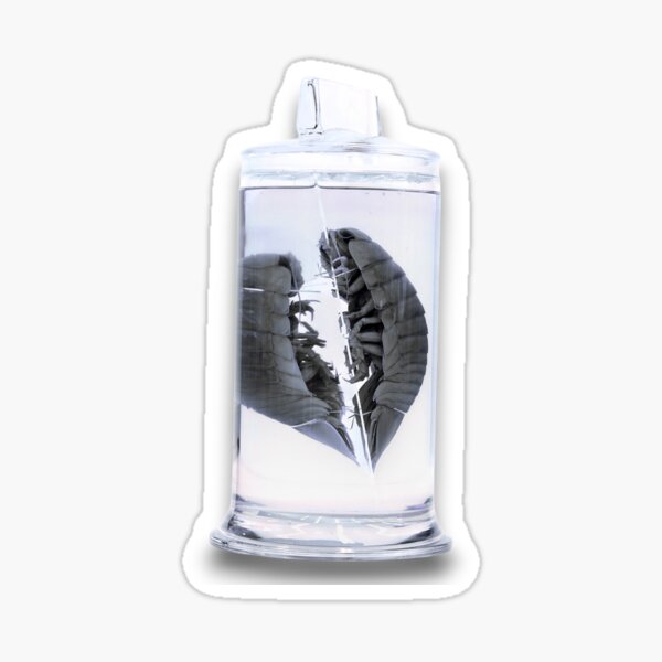 Item preview, Giant Isopod Jar designed and sold by Studio Sonders.