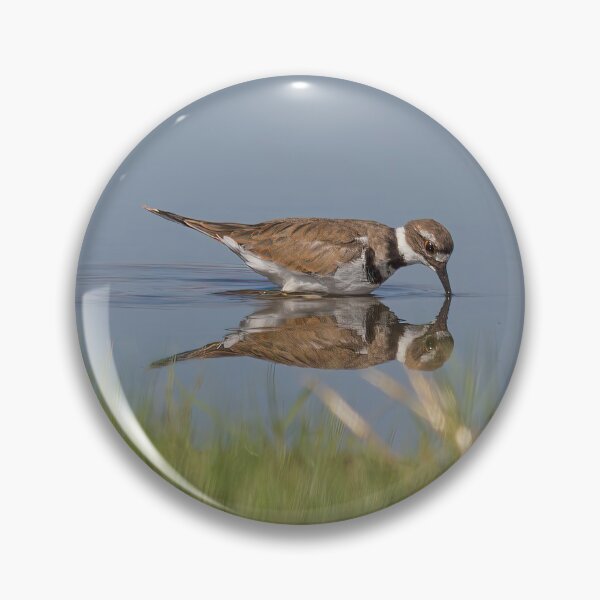 Item preview, Killdeer Reflection designed and sold by CarolM.
