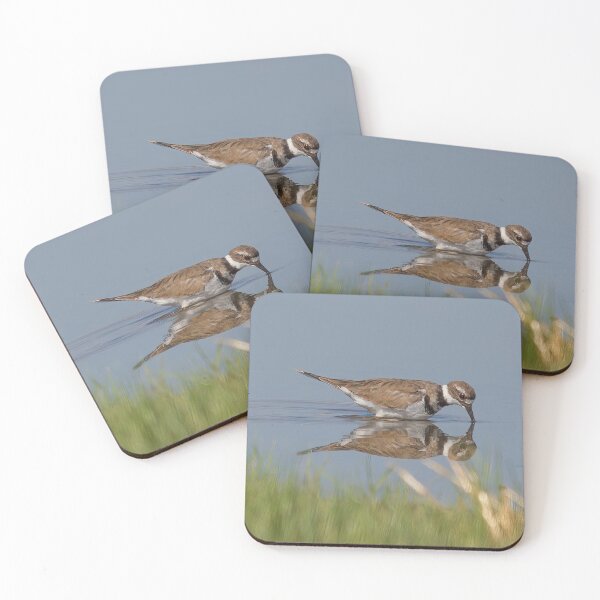 Item preview, Killdeer Reflection designed and sold by CarolM.