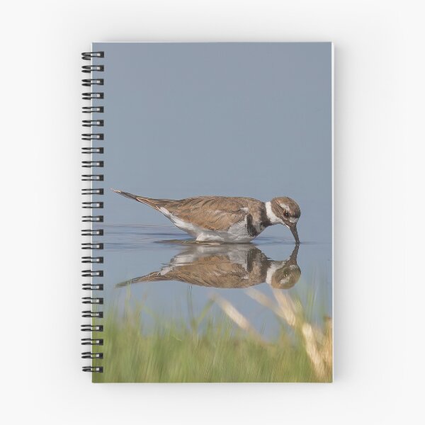 Item preview, Killdeer Reflection designed and sold by CarolM.