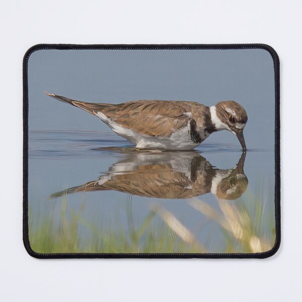 Item preview, Killdeer Reflection designed and sold by CarolM.