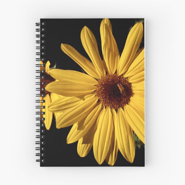 Item preview, Sunflower at Night designed and sold by Naturally Still Photography.