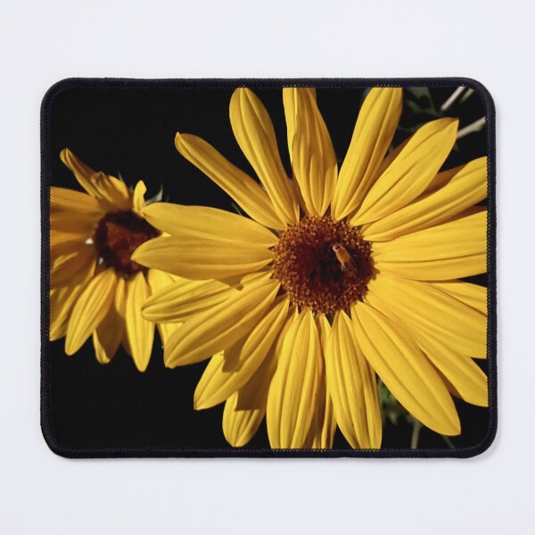 Item preview, Sunflower at Night designed and sold by Naturally Still Photography.