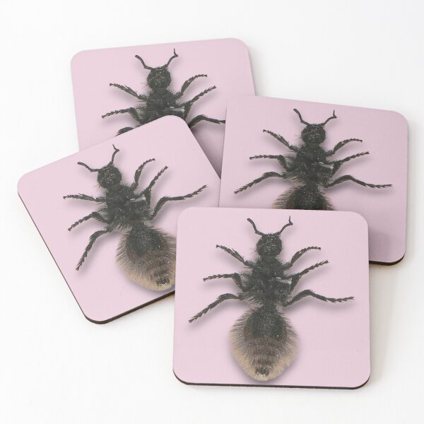 Item preview, Velvet Ant designed and sold by Studio Sonder.